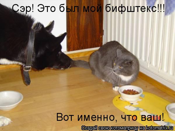 Сэр! Это был мой бифштекс!!! Вот именно, что ваш!... Котоматрица: Сэр! Это был мой бифштекс!!! Вот именно, что ваш!