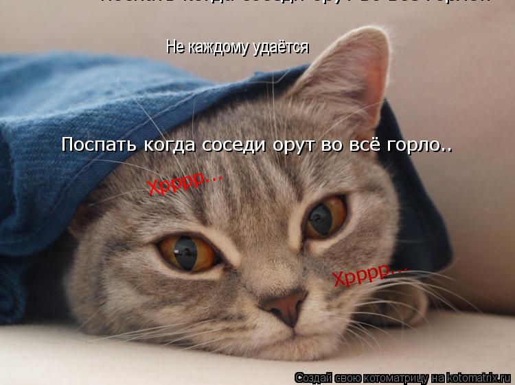 Не каждому удаётся Поспать когда соседи орут во всё горло.. Поспать когда соседи орут во всё горло.. ... Котоматрица: Не каждому удаётся Поспать когда соседи орут во всё горло.. Поспать когда соседи орут во всё горло.. Хрррр... Хрррр...
