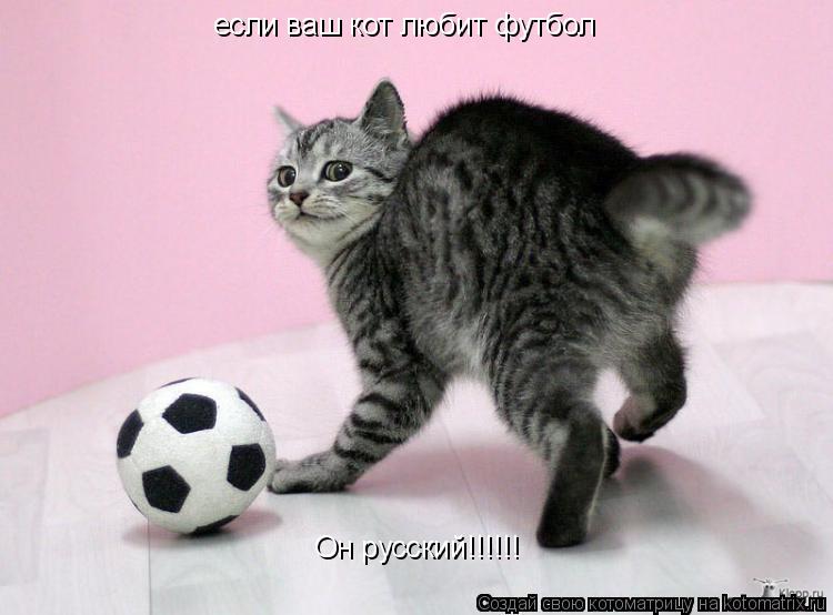 если ваш кот любит футбол Он русский!!!!!!... Котоматрица: если ваш кот любит футбол Он русский!!!!!!
