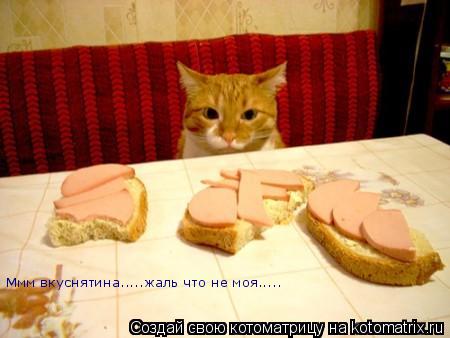 Ммм вкуснятина.....жаль что не моя........ Котоматрица: Ммм вкуснятина.....жаль что не моя.....