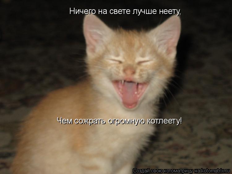 Ничего на свете лучше неету, Чем сожрать огромную котлеету!... Котоматрица: Ничего на свете лучше неету, Чем сожрать огромную котлеету!