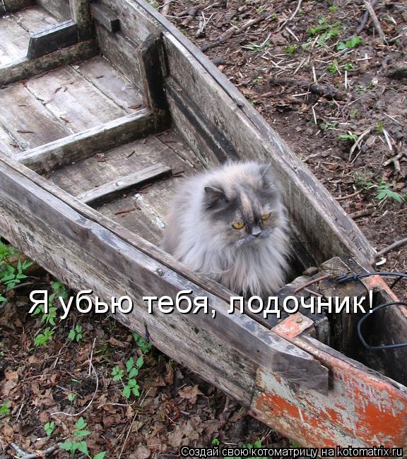Я убью тебя, лодочник!... Котоматрица: Я убью тебя, лодочник!