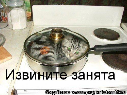 Извините занята... Котоматрица: Извините занята