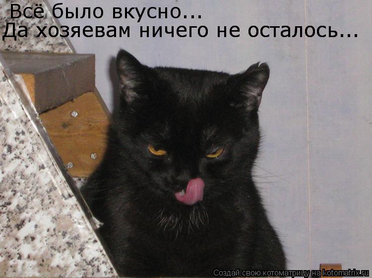 Всё было вкусно... Да хозяевам ничего не осталось... Да хозяевам ничего не осталось...... Котоматрица: Всё было вкусно... Да хозяевам ничего не осталось... Да хозяевам ничего не осталось...