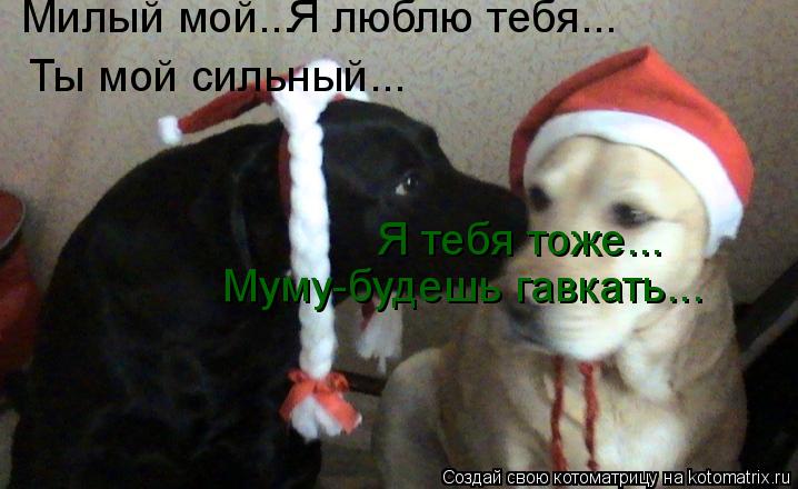Милый мой... Я люблю тебя... Я тебя тоже... Ты мой сильный... Муму-будешь гавкать...... Котоматрица: Милый мой... Я люблю тебя... Я тебя тоже... Ты мой сильный... Муму-будешь гавкать...