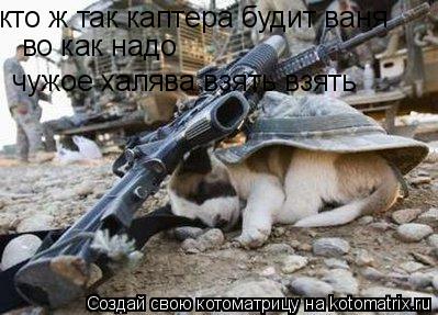 кто ж так каптера будит ваня во как надо чужое халява взять взять... Котоматрица: кто ж так каптера будит ваня во как надо чужое халява взять взять
