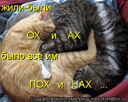 жили-были ОХ и АХ было все им ПОХ и НАХ ...... Котоматрица: жили-были ОХ и АХ было все им ПОХ и НАХ ...