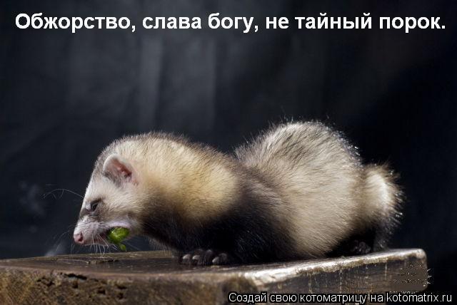 ... Котоматрица: