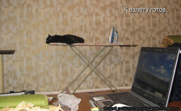 К взлёту готов...... Котоматрица: К взлёту готов...