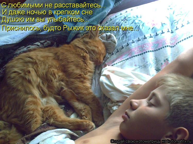 С любимыми не расставайтесь... И даже ночью в крепком сне Приснилось, будто Рыжик это сказал мне... Д... Котоматрица: С любимыми не расставайтесь... И даже ночью в крепком сне Приснилось, будто Рыжик это сказал мне... Душою им вы улыбайтесь...