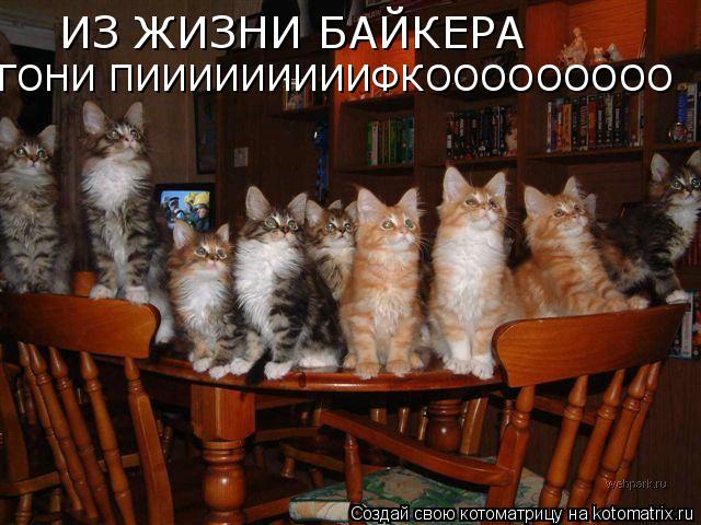 ИЗ ЖИЗНИ БАЙКЕРА ГОНИ ПИИИИИИИИИФКООООООООО ГОНИ ПИИИИИИИИИФКООООООООО... Котоматрица: ИЗ ЖИЗНИ БАЙКЕРА ГОНИ ПИИИИИИИИИФКООООООООО ГОНИ ПИИИИИИИИИФКООООООООО