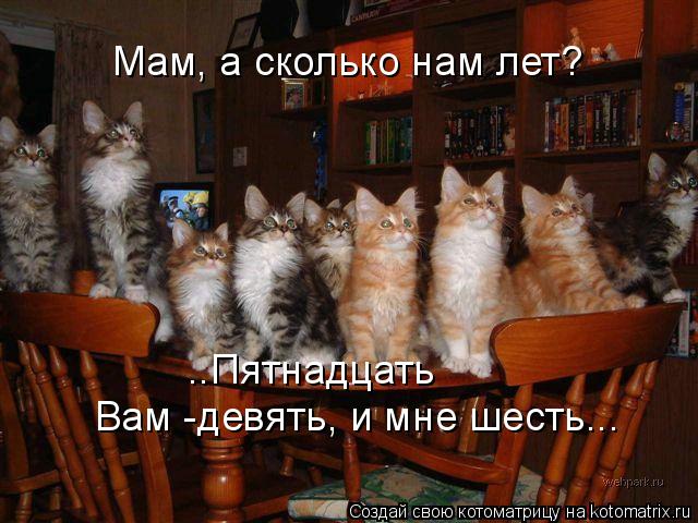 Мам, а сколько нам лет? ..Пятнадцать Вам -девять, и мне шесть...... Котоматрица: Мам, а сколько нам лет? ..Пятнадцать Вам -девять, и мне шесть...