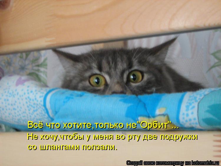 со шлангами ползали. Не хочу,чтобы у меня во рту две подружки Всё что хотите,только не"Орбит"...... Котоматрица: со шлангами ползали. Не хочу,чтобы у меня во рту две подружки Всё что хотите,только не"Орбит"...