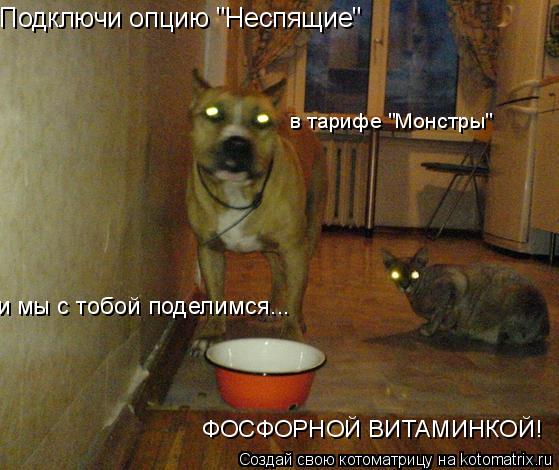 Подключи опцию "Неспящие" в тарифе "Монстры" и мы с тобой поделимся... ФОСФОРНОЙ ВИТАМИНКОЙ!... Котоматрица: Подключи опцию "Неспящие" в тарифе "Монстры" и мы с тобой поделимся... ФОСФОРНОЙ ВИТАМИНКОЙ!