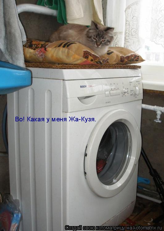 Во! Какая у меня Жа-Кузя.... Котоматрица: Во! Какая у меня Жа-Кузя.