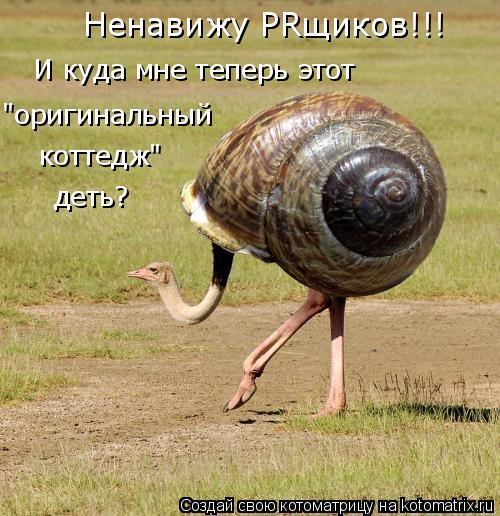 И куда мне теперь этот "оригинальный коттедж" деть? Ненавижу PRщиков!!!... Котоматрица: И куда мне теперь этот "оригинальный коттедж" деть? Ненавижу PRщиков!!!