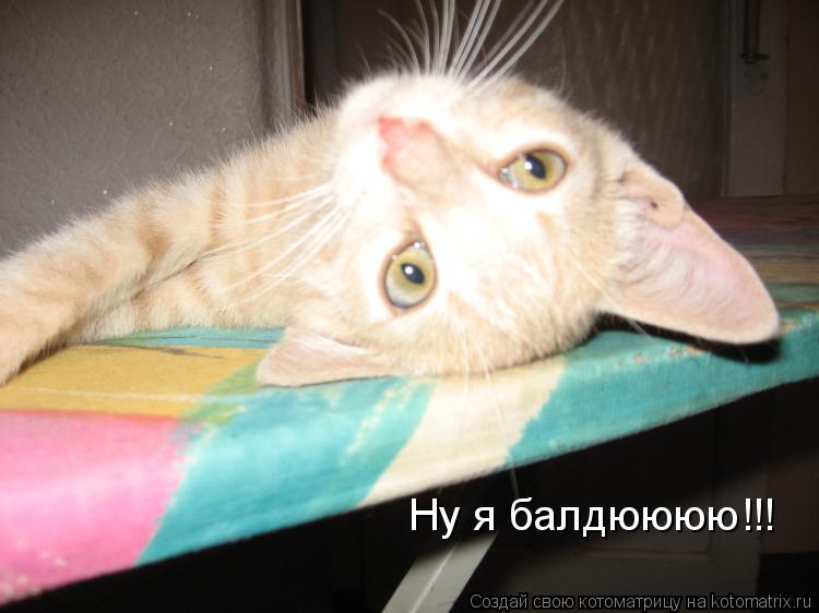 Ну я балдюююю!!!... Котоматрица: Ну я балдюююю!!!
