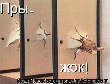 Пры - жок !... Котоматрица: Пры - жок !