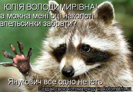 ЮЛIЯ ВОЛОДИМИРIВНА! а можна менi оцi наколотi апельсинки забрати? Янукович все одно не iсть..... Котоматрица: ЮЛIЯ ВОЛОДИМИРIВНА! а можна менi оцi наколотi апельсинки забрати? Янукович все одно не iсть..