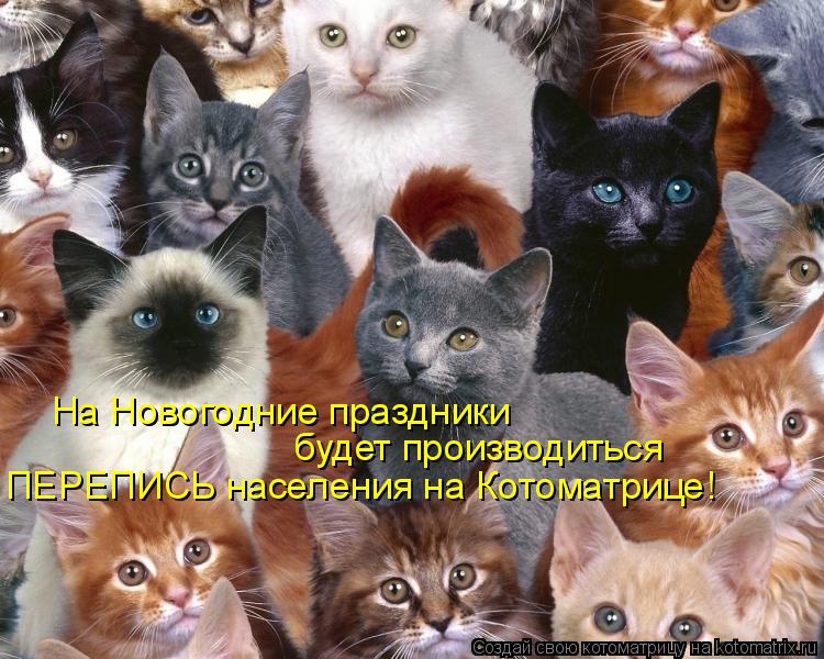 На Новогодние праздники будет производиться ПЕРЕПИСЬ населения на Котоматрице!... Котоматрица: На Новогодние праздники будет производиться ПЕРЕПИСЬ населения на Котоматрице!