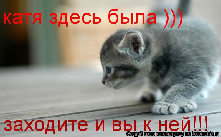 катя здесь была ))) заходите и вы к ней!!!... Котоматрица: катя здесь была ))) заходите и вы к ней!!!