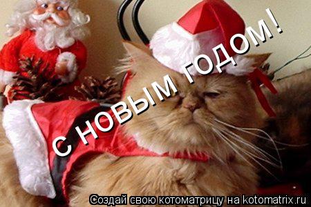 с новым годом!... Котоматрица: с новым годом!