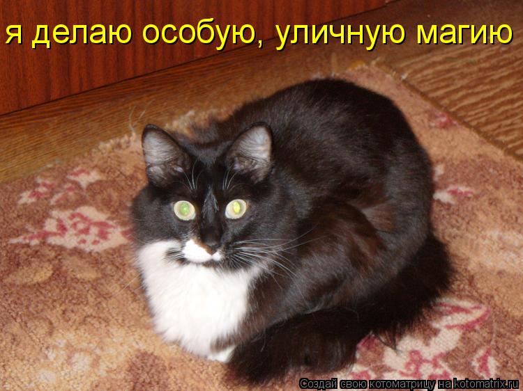 я делаю особую, уличную магию... Котоматрица: я делаю особую, уличную магию