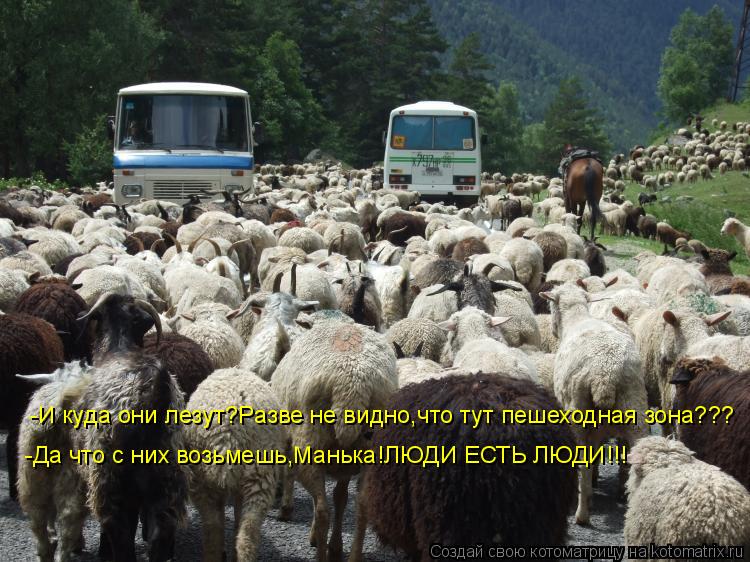 -И куда они лезут?Разве не видно,что тут пешеходная зона??? -Да что с них возьмешь,Манька!ЛЮДИ ЕСТЬ Л... Котоматрица: -И куда они лезут?Разве не видно,что тут пешеходная зона??? -Да что с них возьмешь,Манька!ЛЮДИ ЕСТЬ ЛЮДИ!!!