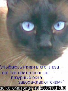"улыбаюсь глядя в его глаза - вот так притворенные лазурные окна завораживают снами"... Котоматрица: "улыбаюсь глядя в его глаза - вот так притворенные лазурные окна завораживают снами"