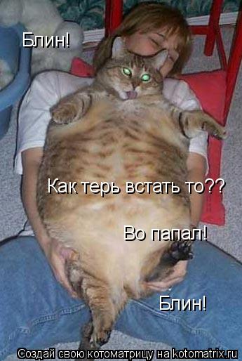 Блин! Как терь встать то?? Во папал! Блин!... Котоматрица: Блин! Как терь встать то?? Во папал! Блин!