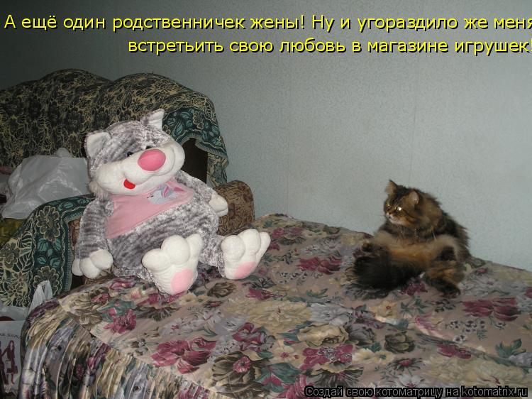 А ещё один родственничек жены! Ну и угораздило же меня встретьить свою любовь в магазине игрушек! вс... Котоматрица: А ещё один родственничек жены! Ну и угораздило же меня встретьить свою любовь в магазине игрушек! встретьить свою любовь в магазине игруше