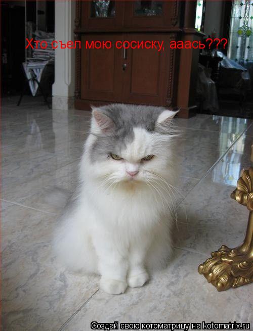 Хто съел мою сосиску, ааась???... Котоматрица: Хто съел мою сосиску, ааась???