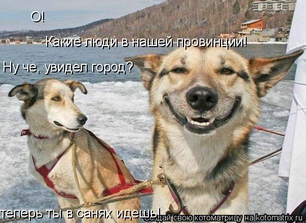 Какие люди в нашей провинции! О! Ну че, увидел город? теперь ты в санях идешь!... Котоматрица: Какие люди в нашей провинции! О! Ну че, увидел город? теперь ты в санях идешь!