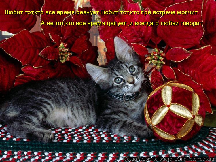 Любит тот,кто все время ревнует.Любит тот,кто при встрече молчит. А не тот,кто все время целует ,и вс... Котоматрица: Любит тот,кто все время ревнует.Любит тот,кто при встрече молчит. А не тот,кто все время целует ,и всегда о любви говорит.