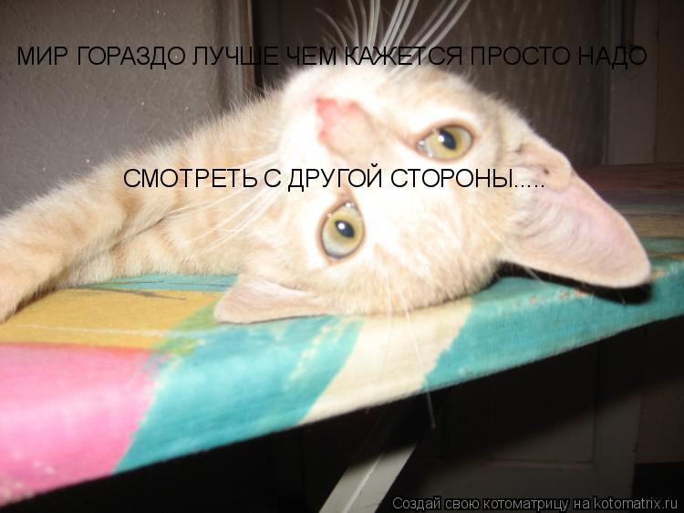 МИР ГОРАЗДО ЛУЧШЕ ЧЕМ КАЖЕТСЯ ПРОСТО НАДО СМОТРЕТЬ С ДРУГОЙ СТОРОНЫ........ Котоматрица: МИР ГОРАЗДО ЛУЧШЕ ЧЕМ КАЖЕТСЯ ПРОСТО НАДО СМОТРЕТЬ С ДРУГОЙ СТОРОНЫ.....