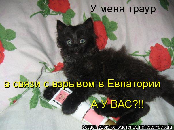 У меня траур в связи с взрывом в Евпатории А У ВАС?!!... Котоматрица: У меня траур в связи с взрывом в Евпатории А У ВАС?!!