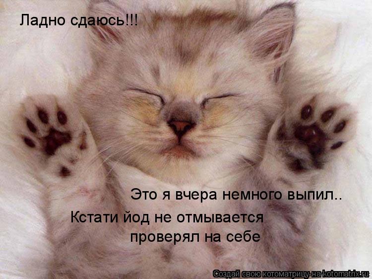 Ладно сдаюсь!!! Это я вчера немного выпил.. Кстати йод не отмывается проверял на себе... Котоматрица: Ладно сдаюсь!!! Это я вчера немного выпил.. Кстати йод не отмывается проверял на себе