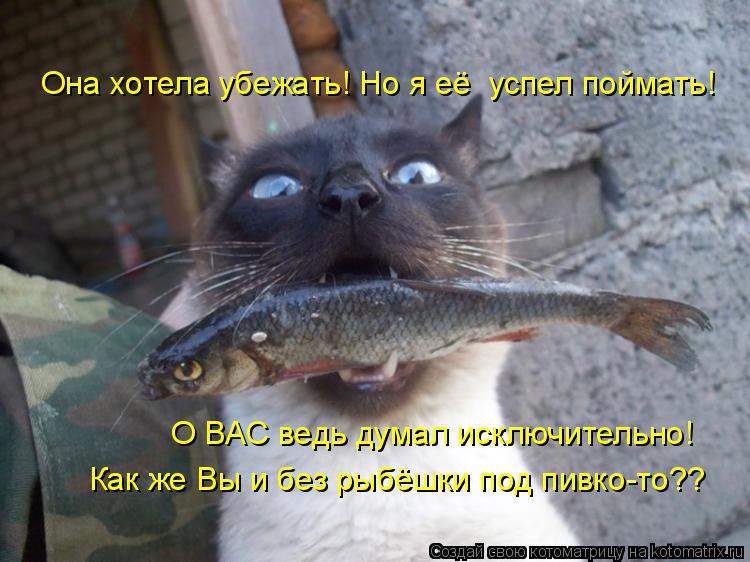 Она хотела убежать! Но я её успел поймать! О ВАС ведь думал исключительно! Как же Вы и без рыбёшки п... Котоматрица: Она хотела убежать! Но я её успел поймать! О ВАС ведь думал исключительно! Как же Вы и без рыбёшки под пивко-то??