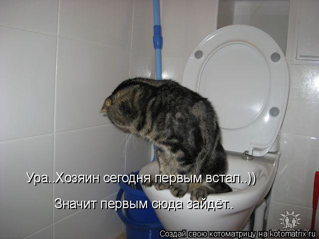 Ура..Хозяин сегодня первым встал..)) Значит первым сюда зайдёт..... Котоматрица: Ура..Хозяин сегодня первым встал..)) Значит первым сюда зайдёт..