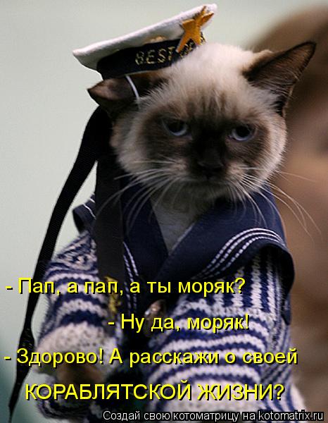 - Пап, а пап, а ты моряк? - Ну да, моряк! - Здорово! А расскажи о своей КОРАБЛЯТСКОЙ ЖИЗНИ?... Котоматрица: - Пап, а пап, а ты моряк? - Ну да, моряк! - Здорово! А расскажи о своей КОРАБЛЯТСКОЙ ЖИЗНИ?