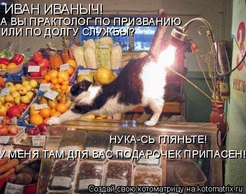 ИВАН ИВАНЫЧ! А ВЫ ПРАКТОЛОГ ПО ПРИЗВАНИЮ ИЛИ ПО ДОЛГУ СЛУЖБЫ? НУКА-СЬ ГЛЯНЬТЕ! У МЕНЯ ТАМ ДЛЯ ВАС ПО... Котоматрица: ИВАН ИВАНЫЧ! А ВЫ ПРАКТОЛОГ ПО ПРИЗВАНИЮ ИЛИ ПО ДОЛГУ СЛУЖБЫ? НУКА-СЬ ГЛЯНЬТЕ! У МЕНЯ ТАМ ДЛЯ ВАС ПОДАРОЧЕК ПРИПАСЕН!