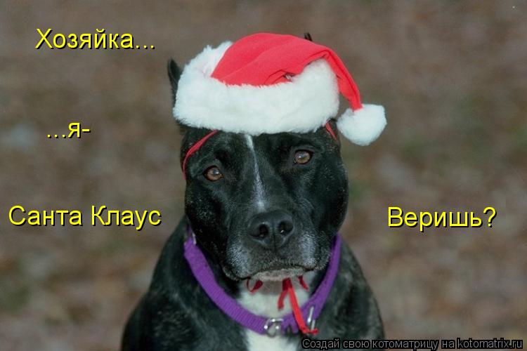 Хозяйка... Санта Клаус ...я- Веришь?... Котоматрица: Хозяйка... Санта Клаус ...я- Веришь?