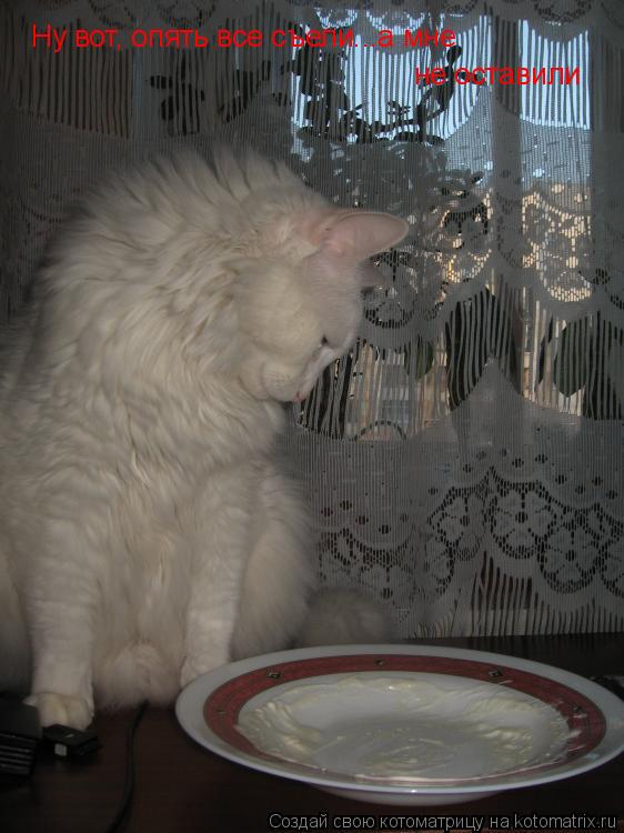 Ну вот, опять все съели...а мне Ну вот, опять все съели...а мне не оставили... Котоматрица: Ну вот, опять все съели...а мне Ну вот, опять все съели...а мне не оставили