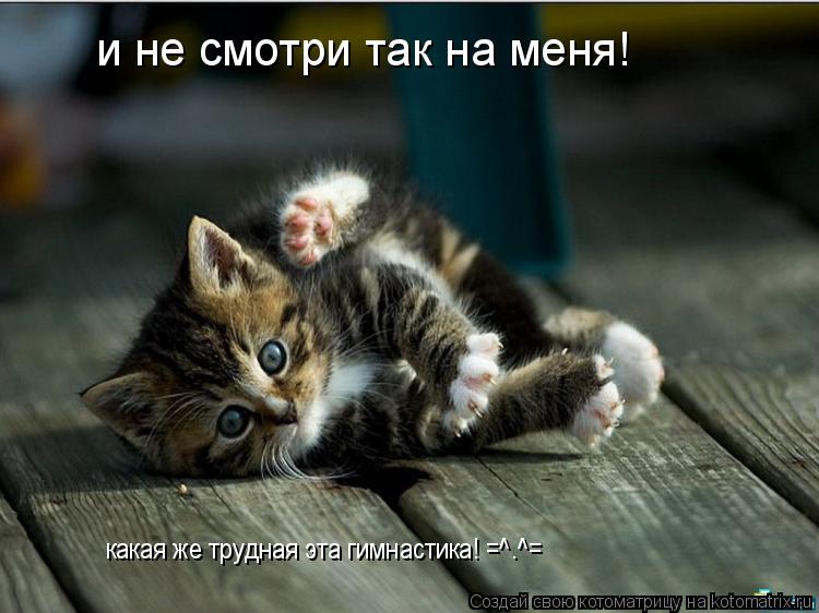 какая же трудная эта гимнастика! =^.^= и не смотри так на меня!... Котоматрица: какая же трудная эта гимнастика! =^.^= и не смотри так на меня!