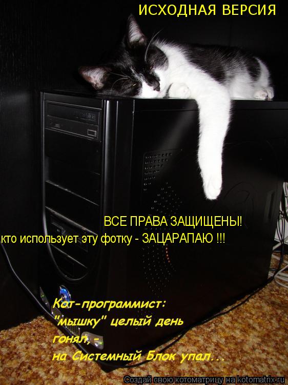 ИСХОДНАЯ ВЕРСИЯ ВСЕ ПРАВА ЗАЩИЩЕНЫ! кто использует эту фотку - ЗАЦАРАПАЮ !!!... Котоматрица: ИСХОДНАЯ ВЕРСИЯ ВСЕ ПРАВА ЗАЩИЩЕНЫ! кто использует эту фотку - ЗАЦАРАПАЮ !!!