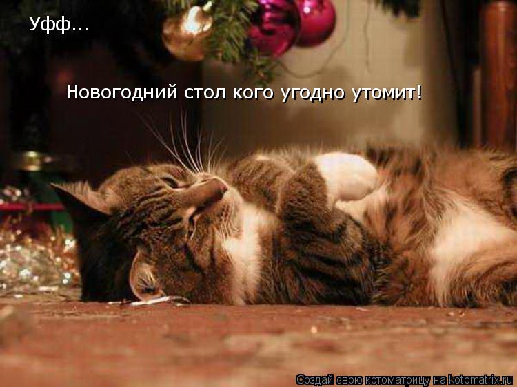 Уфф... Новогодний стол кого угодно утомит!... Котоматрица: Уфф... Новогодний стол кого угодно утомит!