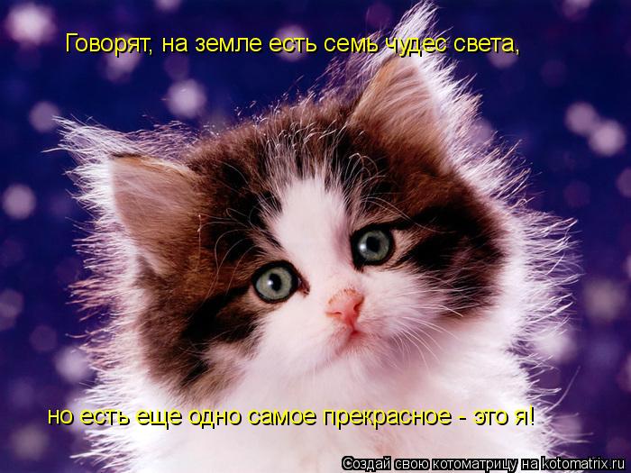 Говорят, на земле есть семь чудес света, но есть еще одно самое прекрасное - это я!... Котоматрица: Говорят, на земле есть семь чудес света, но есть еще одно самое прекрасное - это я!