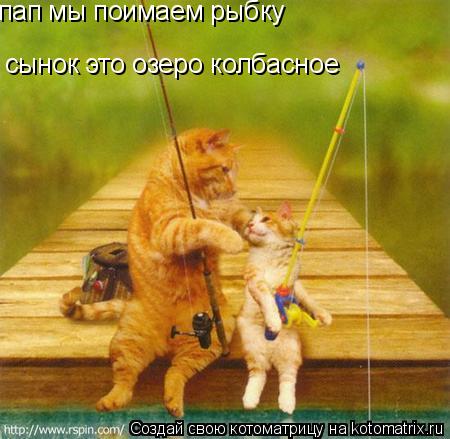 пап мы поимаем рыбку сынок это озеро колбасное... Котоматрица: пап мы поимаем рыбку сынок это озеро колбасное