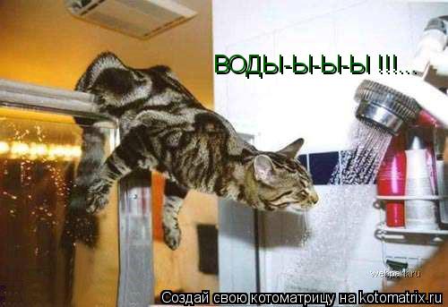 ВОДЫ-Ы-Ы-Ы !!!...... Котоматрица: ВОДЫ-Ы-Ы-Ы !!!...