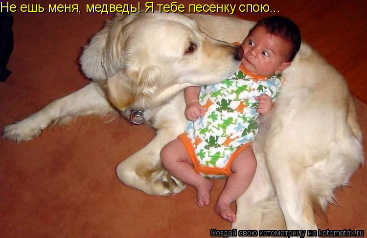 Не ешь меня, медведь! Я тебе песенку спою...... Котоматрица: Не ешь меня, медведь! Я тебе песенку спою...